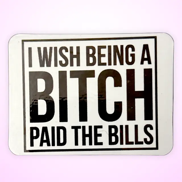 Magnet - I wish being a BITCH paid the bills